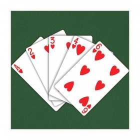 Playing Cards Multicolor (ZO-0040)