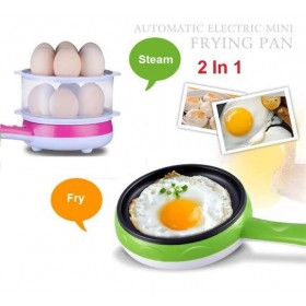 Multifunctional Electric Egg Boiler and Fry Pan