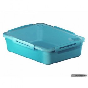 Rotho Microwave Container Memory 3.1 L
